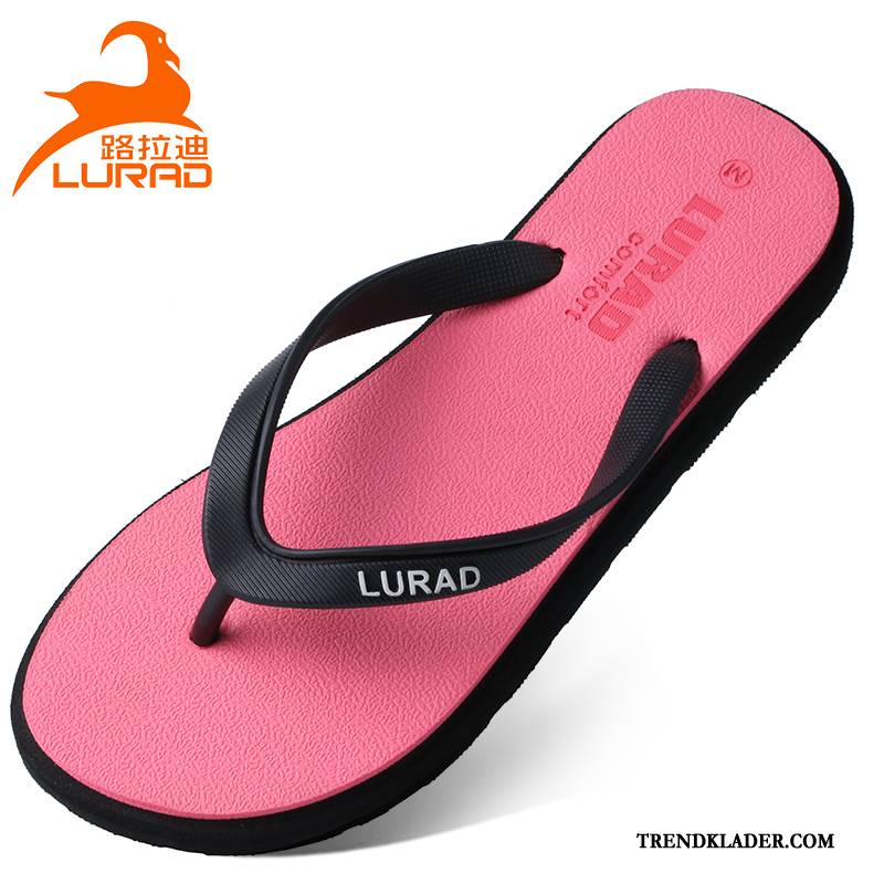 Flip Flops Dam Enkel Sommar Badrum Utomhus Student Tofflor