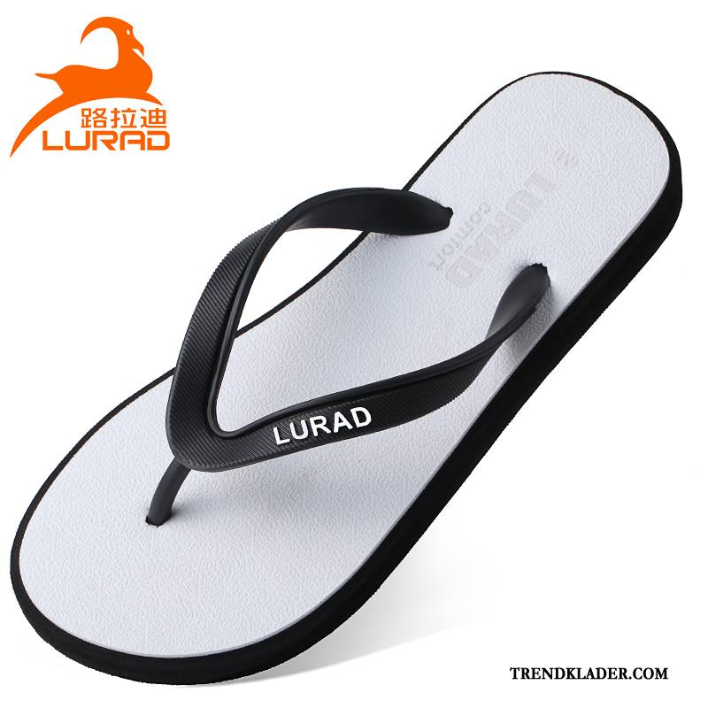 Flip Flops Dam Enkel Sommar Badrum Utomhus Student Tofflor