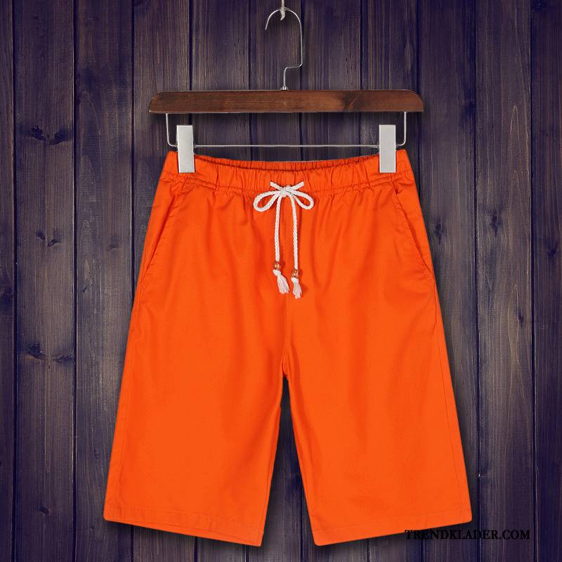 Shorts Herr Sport Bomull Casual Stranden Sommar Tryck