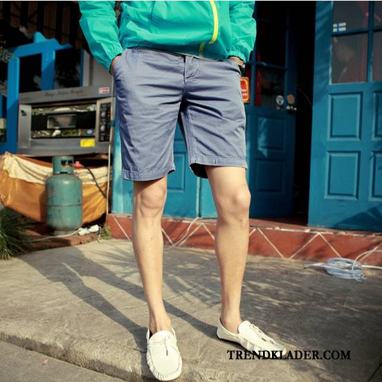 Shorts Herr Trend Kortbyxor Stranden Tunn Adolescens Casual Vinröd