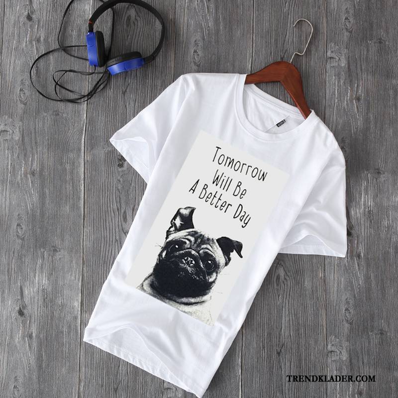 T-shirt Herr Ny Bomull Halv Ärm Kortärmad Trend Lösa Vit