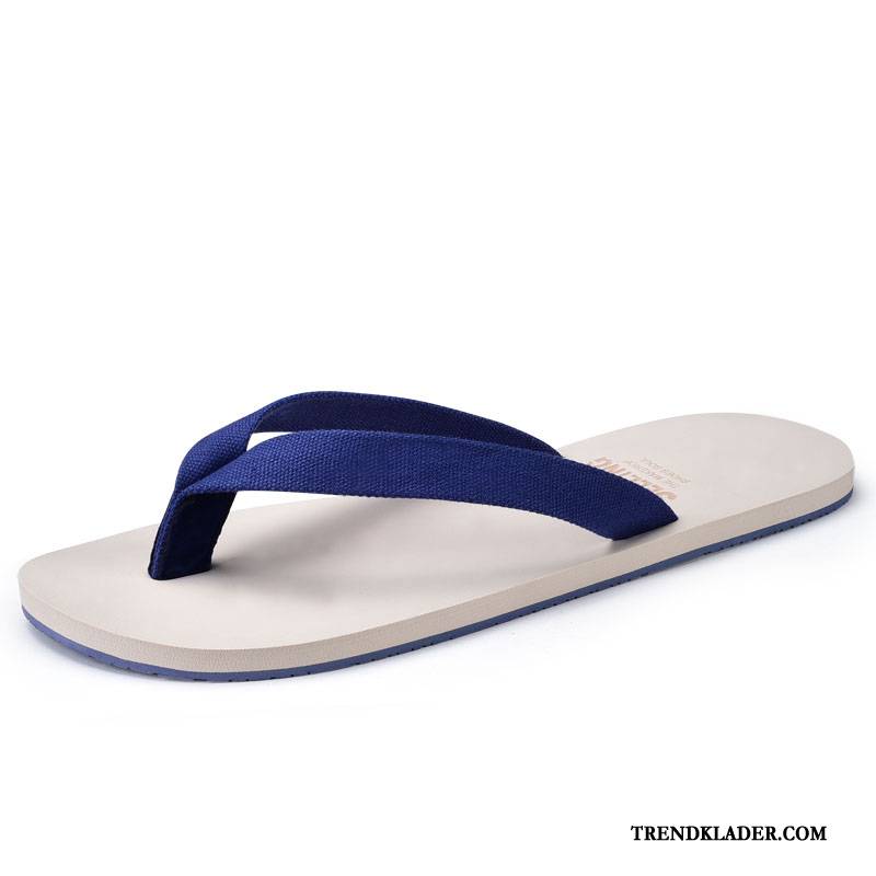 Flip Flop Herr Trend Enkel Sommar Flip Flops Sandaler Skor Mörkblå