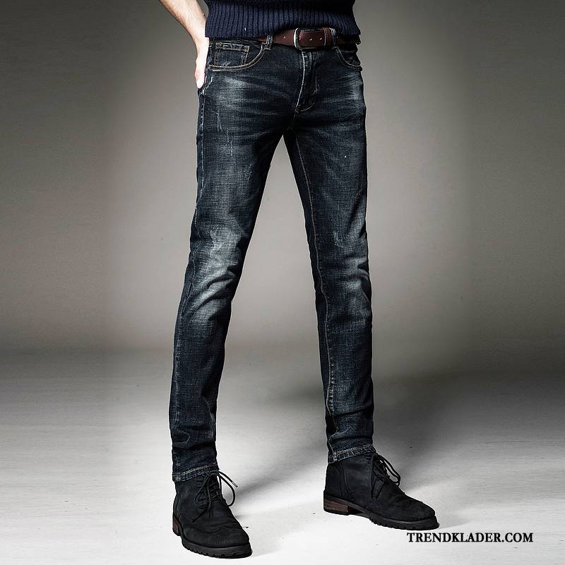 snygg bästa webbplats olika stilar Jeans Herr Rakt Höst Lång Stretch Slim Fit Liten Grå Svart Köpa snygg bästa webbplats olika stilar Jeans Herr Rakt Höst Lång Stretch Slim Fit Liten Grå Svart Köpa